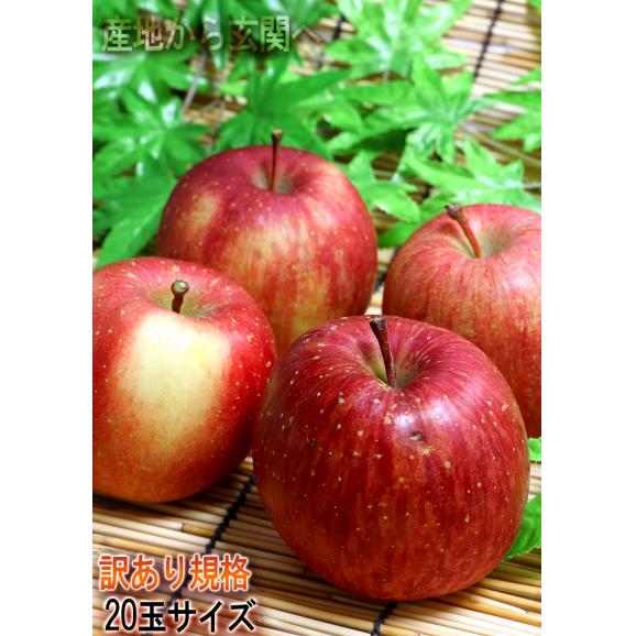 産地直送 葉とらずフジ林檎 赤りんご 約5kg 14～20玉 青森県産 赤特規格 贈答品 光センサー選果済み 青森直送で鮮度抜群！太陽の光を一杯に浴びた葉取らず栽培02