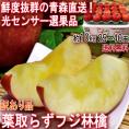 産地直送 葉とらずフジ林檎 赤りんご 約10kg 25～40玉 青森県産 訳あり品 家庭用 光センサー選果済み 青森直送で鮮度抜群！太陽の光を一杯に浴びた葉取らず栽培