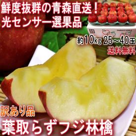 産地直送 葉とらずフジ林檎 赤りんご 約10kg 25～40玉 青森県産 訳あり品 家庭用 光センサー選果済み 青森直送で鮮度抜群！太陽の光を一杯に浴びた葉取らず栽培