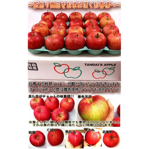 産地直送 葉とらずフジ林檎 赤りんご 約10kg 25～40玉 青森県産 訳あり品 家庭用 光センサー選果済み 青森直送で鮮度抜群！太陽の光を一杯に浴びた葉取らず栽培06