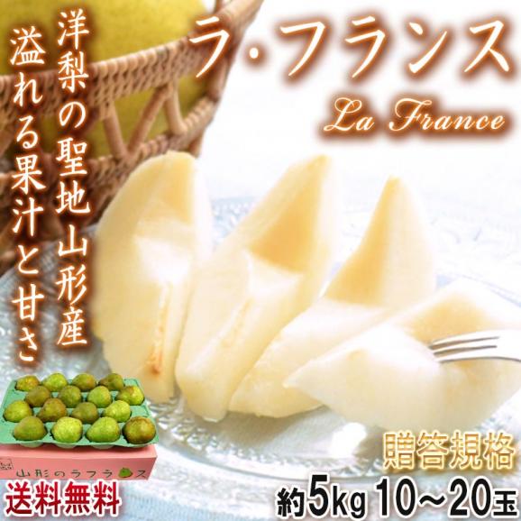 ラ・フランス 洋梨 約5kg 10～20玉 秀品 山形県産 贈答品 JA共撰 濃厚な甘みにとろける口どけ！ギフトにも使える味わい抜群のフルーツ ラフランス02