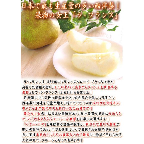 ラ・フランス 洋梨 約5kg 10～20玉 秀品 山形県産 贈答品 JA共撰 濃厚な甘みにとろける口どけ！ギフトにも使える味わい抜群のフルーツ ラフランス05