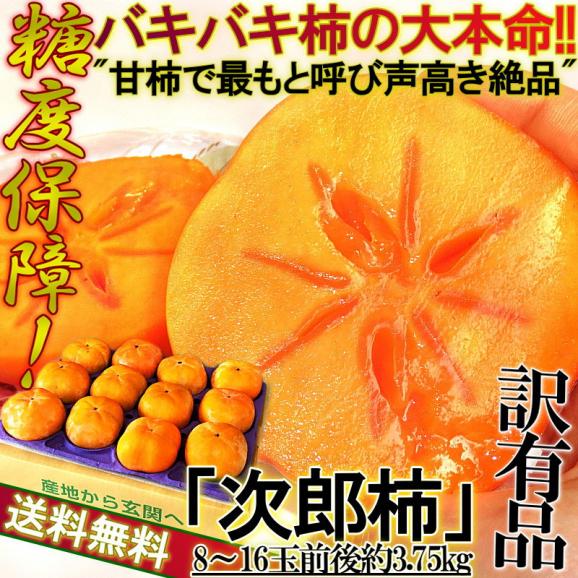 次郎柿 じろうがき 約3.75kg 8~16玉 静岡県産 愛知県産 茨城県産他 訳あり品 JA共撰品 硬めの果肉に濃厚な甘み!糖度保証で抜群の美味しさ02