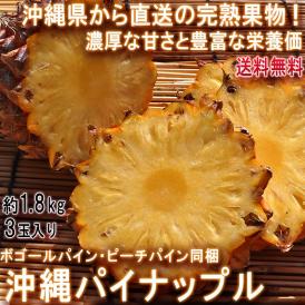 送料無料 国内栽培・直送だから出来る抜群の美味しさをお届け！