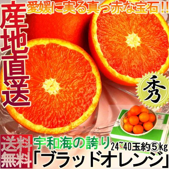 産地直送 ブラッドオレンジ 約5kg サイズ混合 愛媛県産 秀品 贈答品 モロ種またはタロッコ種 生産量の限られた貴重なフルーツ！鮮やかな果肉に豊富な甘みと果汁02