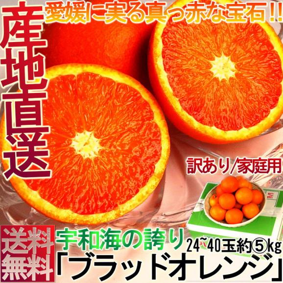 産地直送 ブラッドオレンジ 約5kg サイズ混合 愛媛県産 訳あり品 家庭用 モロ種またはタロッコ種 生産量の限られた貴重なフルーツ！鮮やかな果肉に豊富な甘みと果汁02