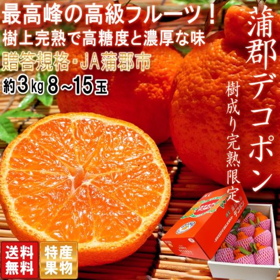 樹上完熟 蒲郡デコポン 約3kg 8～15玉 愛知県産 贈答品 JA蒲郡市 糖度13度保証！樹成り熟成で更に美味しい高級フルーツ02