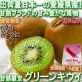 産地直送 甘熟グリーンキウイ 約3kg 22～34玉 愛媛県産 贈答規格 JA共撰品 出荷量全国1位の愛媛キウイフルーツ！実測糖度16度の美味しいキウイ