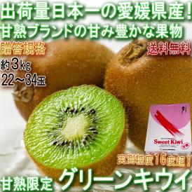 産地直送 甘熟グリーンキウイ 約3kg 22～34玉 愛媛県産 贈答規格 JA共撰品 出荷量全国1位の愛媛キウイフルーツ！実測糖度16度の美味しいキウイ