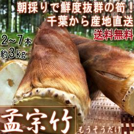 産地直送 孟宗筍 もうそうだけ 生たけのこ 約3kg 2～7本 千葉県産 栽培期間農薬不使用の竹の子！朝一番で収穫した新鮮な筍を米ぬか同梱で直送