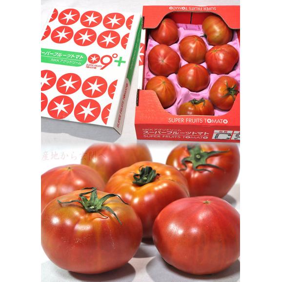 スーパーフルーツトマト 約1kg 8～16玉前後 茨城県が誇るブランド野菜！トマトらしい濃厚な味と甘さが魅力のフルーツトマト02