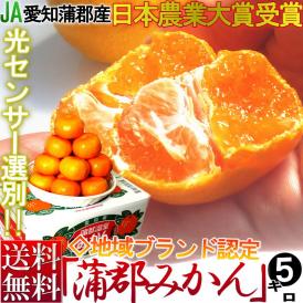 みかん 約5kg 愛知蒲郡産 加温 温室栽培 JA蒲郡 柑橘類　センサー選別品　農業
