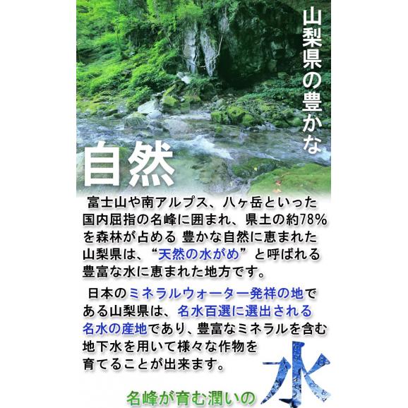 産地直送 プレミアムピーチ 桃 山梨県産 笛吹市一宮町 農園限定 最高峰特選規格 秀品 約2kg 6～9玉 贈答品 有機栽培 農林水産大臣賞受賞農園の最高品質！04