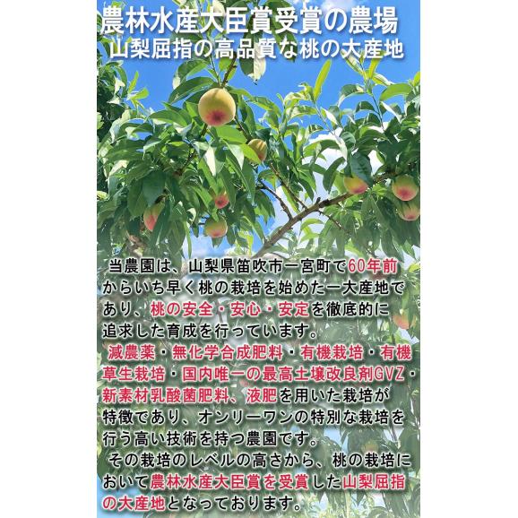 産地直送 プレミアムピーチ 桃 山梨県産 笛吹市一宮町 農園限定 最高峰特選規格 秀品 約2kg 6～9玉 贈答品 有機栽培 農林水産大臣賞受賞農園の最高品質！05