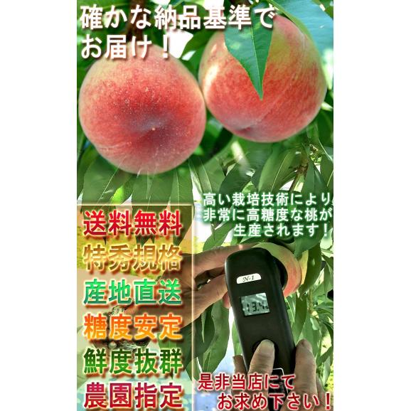 産地直送 プレミアムピーチ 桃 山梨県産 笛吹市一宮町 農園限定 最高峰特選規格 秀品 約2kg 6～9玉 贈答品 有機栽培 農林水産大臣賞受賞農園の最高品質！06