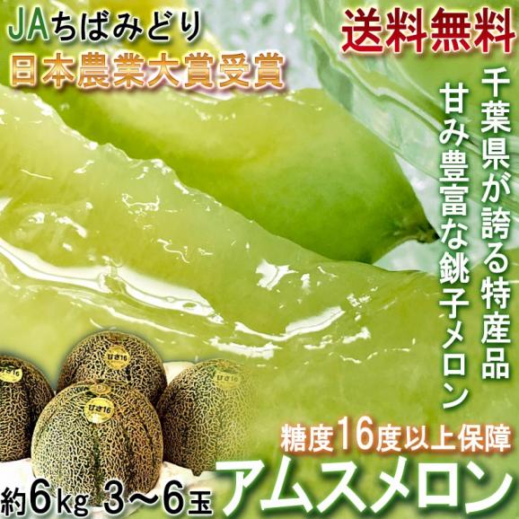 銚子アムスメロン 約6kg 3～6玉入り 千葉県産 贈答規格 JAちばみどり 秀品～特秀品 糖度16度保証！日本農業賞受賞の高糖度ブランドフルーツ02