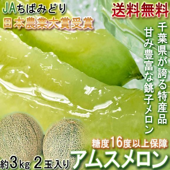銚子アムスメロン 約3kg 2玉入り 千葉県産 贈答規格 JAちばみどり 秀品～特秀品 糖度16度保証！日本農業賞受賞の高糖度ブランドフルーツ02