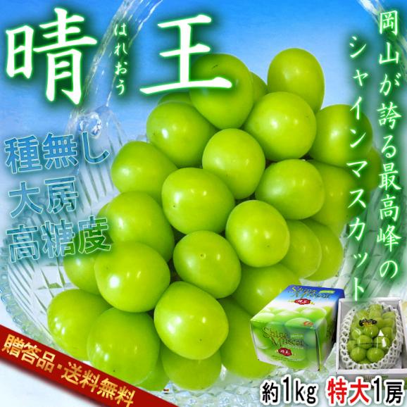晴王 はれおう 厳選シャインマスカット 種無し白ぶどう 約1kg 特大1房入り 岡山県産 贈答規格 最高峰のギフト葡萄！皮ごと食べる濃厚な甘さの特産品フルーツ02