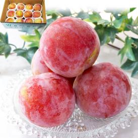 プラム サマーエンジェル すもも 李 スモモ 山梨県産 秀品 大玉 約1.8kg  8玉～12玉前後 極濃厚 プラム好きの為のプレミアム