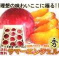 プラム サマーエンジェル すもも 李 スモモ 山梨県産 秀品 大玉 約1.8kg  8玉～12玉前後 極濃厚 プラム好きの為のプレミアム