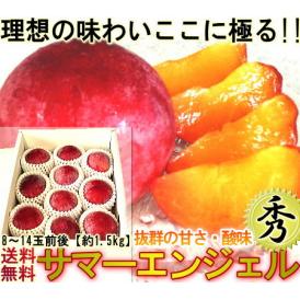プラム サマーエンジェル すもも 李 スモモ 山梨県産 秀品 大玉 約1.8kg  8玉～12玉前後 極濃厚 プラム好きの為のプレミアム