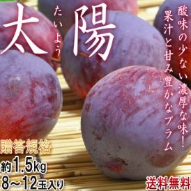 太陽 プラム 約1.5kg 8～12玉 山梨県産 贈答規格 ギフトに人気のすももをお届け！酸味の少ない濃厚な味と甘さ