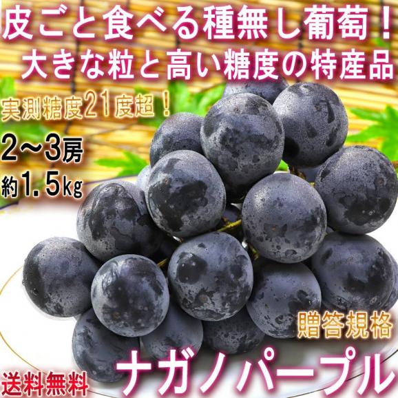 ナガノパープル 種無し葡萄 約1.5kg 2～3房 長野県産 贈答規格 大房限定 JA共撰品 特産品の高級フルーツ！皮ごと食べる大粒の黒ぶどう ブドウ02