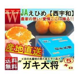 産地直送 日の丸みかん ガキ大将 約5kg M～2Lサイズ 愛媛県産 訳あり品 JAにしうわ 大玉サイズのブランド蜜柑をお得な価格でご配送！