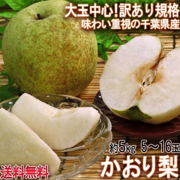 かおり梨 約5kg 5～16玉 訳あり品 千葉県産 家庭用 生産量の少ない幻の梨！爽やかな甘い香りと優秀な味わい02