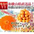 産地直送 田村みかん 小玉 約10kg 2S～Mサイズ 和歌山県産 訳あり品 有田エリア指定 田村出荷組合 ありだ蜜柑 有田地区原産蜜柑 最高峰ブランド湯浅町