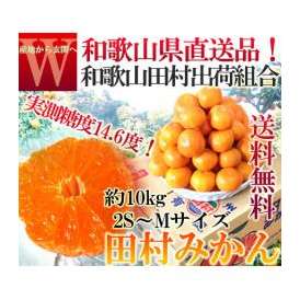 産地直送 田村みかん 小玉 約10kg 2S～Mサイズ 和歌山県産 訳あり品 有田エリア指定 田村出荷組合 ありだ蜜柑 有田地区原産蜜柑 最高峰ブランド湯浅町