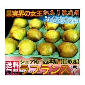 ラフランス 西洋梨 約5kg 山形県産 訳あり品 傷・へこみありのため大特価でお届け！
