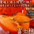 産地直送 富士柿 ふじがき 約5kg 12～18玉 大玉限定 愛媛県産 訳あり品 特大の果実にまろやかな甘さ！お得な価格の特産品フルーツ