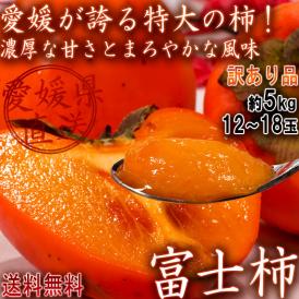 産地直送 富士柿 ふじがき 約5kg 12～18玉 大玉限定 愛媛県産 訳あり品 特大の果実にまろやかな甘さ！お得な価格の特産品フルーツ