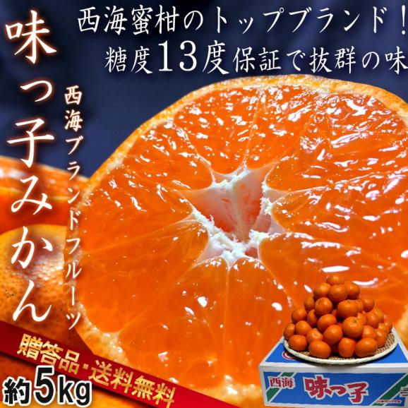 味っ子 みかん 長崎県産 約5kg 秀品 JA長崎西海 糖度13度以上保障 糖度センサー認証 贈答最適 厳選品質02