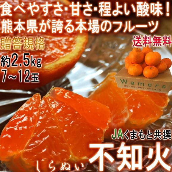 不知火 しらぬい 約2.5kg 7玉～12玉 熊本県産 露地栽培 光センサー認証 本場で育てた濃厚な甘酸っぱさ！デコポンと同品種のタンゴール02