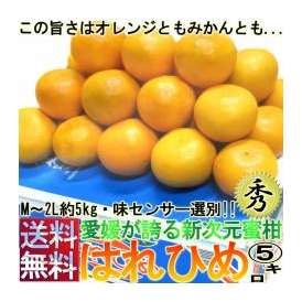 愛媛県産 みかん はれひめ 秀品規格 L～2L 5kg ミカン 蜜柑 晴れ姫 オレンジと蜜柑のいいとこどり