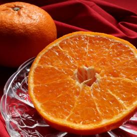 はまさき 麗紅 佐賀県産 約2.7～3.3kg 8～12玉 秀品 贈答用 化粧箱入り JAからつ タンゴール 糖度12.5度以上保障