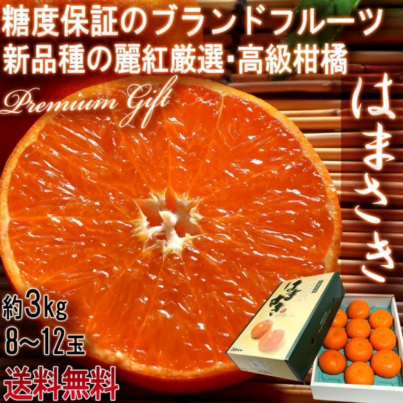 はまさき 麗紅 佐賀県産 約2.7～3.3kg 8～12玉 秀品 贈答用 化粧箱入り JAからつ タンゴール 糖度12.5度以上保障02