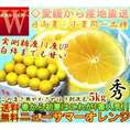 産地直送 日向夏ニューサマー オレンジ 約5kg みかん 愛媛 秀品 贈答用 糖度実測11度以上　全農愛媛 別名 小夏