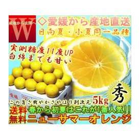 産地直送 日向夏ニューサマー オレンジ 約5kg みかん 愛媛 秀品 贈答用 糖度実測11度以上　全農愛媛 別名 小夏