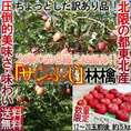 サンふじ りんご　5kg訳あり家庭用 正規品の外部エラー山形・福島・青森時期により産地が切り替わります