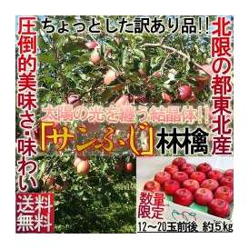 サンふじ りんご　5kg訳あり家庭用 正規品の外部エラー山形・福島・青森時期により産地が切り替わります