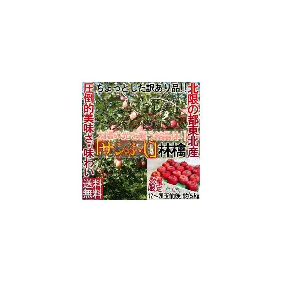 サンふじ りんご　5kg訳あり家庭用 正規品の外部エラー山形・福島・青森時期により産地が切り替わります01