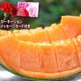 2026 母の日ギフト 赤肉メロン 2玉入り 優～秀品規格 産地厳選 クインシーメロン中心 メッセージカード・カーネーション同梱