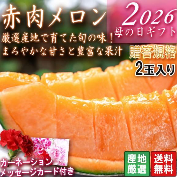 2026 母の日ギフト 赤肉メロン 2玉入り 優～秀品規格 産地厳選 クインシーメロン中心 メッセージカード・カーネーション同梱02