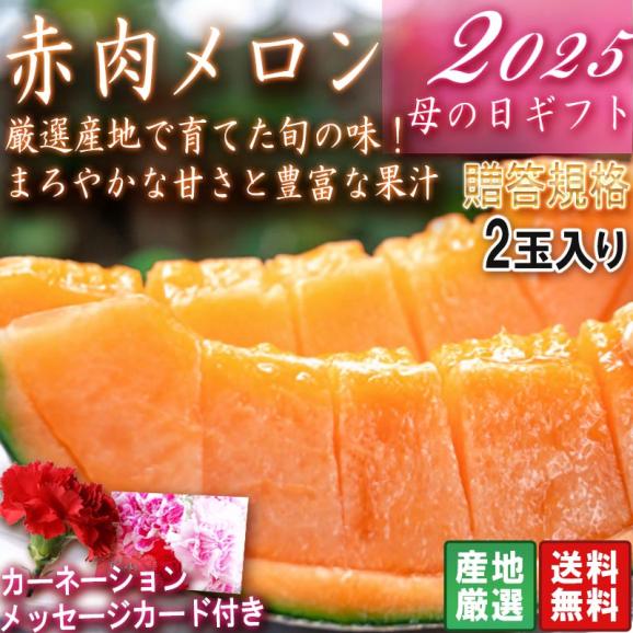 2026 母の日ギフト 赤肉メロン 2玉入り 優～秀品規格 産地厳選 クインシーメロン中心 メッセージカード・カーネーション同梱02