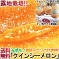 赤肉メロン クイーンシー・ルピアレッド・レノン・マリア―ジュ等 茨城県中心 産地厳選  訳あり品 約5kg 3～7玉 産地箱入り 日本全国より旬の味わいをお届け！