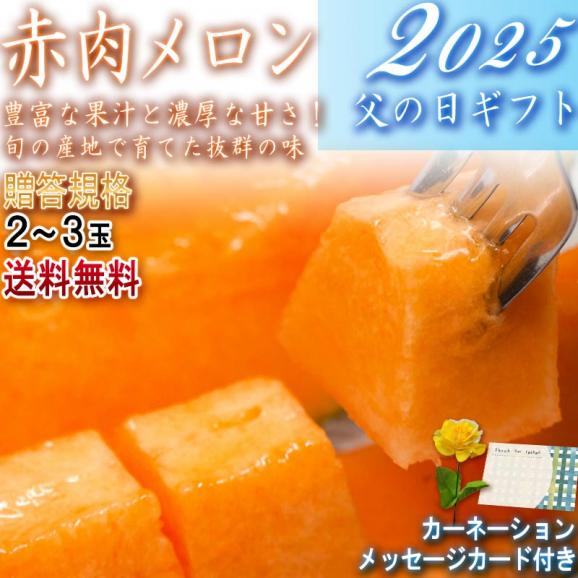 遅れてごめんね 父の日ギフト 赤肉メロン 2～3玉入り 優～秀品規格 産地厳選 クインシーメロン中心 化粧箱入り メッセージカード・カーネーション同梱02