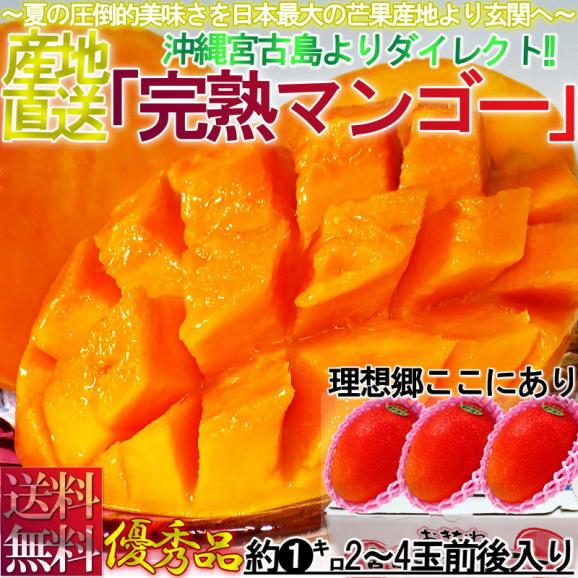 産地直送 宮古島マンゴー 沖縄産 約1kg 2~4玉 秀品~優品 贈答可能 産地箱入り 生産量日本一の宮古島が誇るアップルマンゴー!02